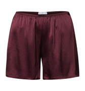 Grand Central Knickers | Vivid Brown 77984-2421